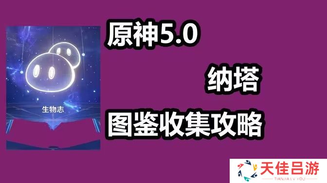 原神纳塔新增14个观景点位置攻略 原神5.0纳塔新增观景点位置[多图]图片1