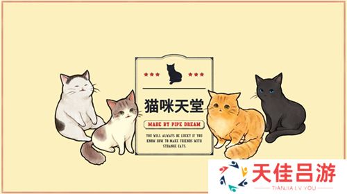 猫咪天堂