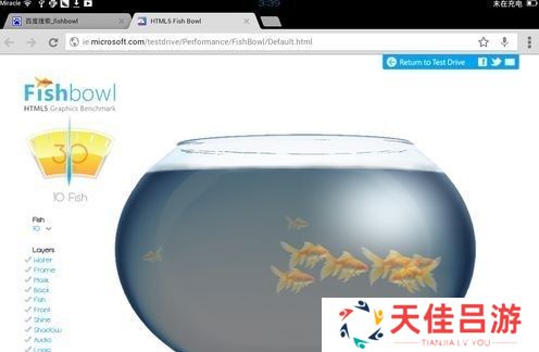 fishbowl在线测试网站网址 fishbowl金鱼鱼缸测试网址入口[多图]图片1